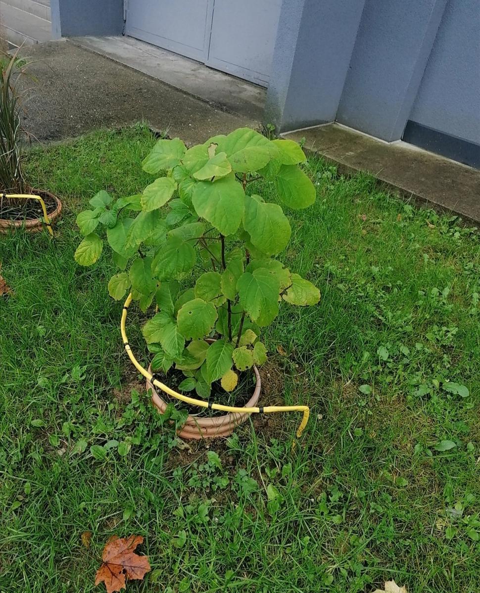 a tu už žiadna! (ups... a čo to zábradlie?)