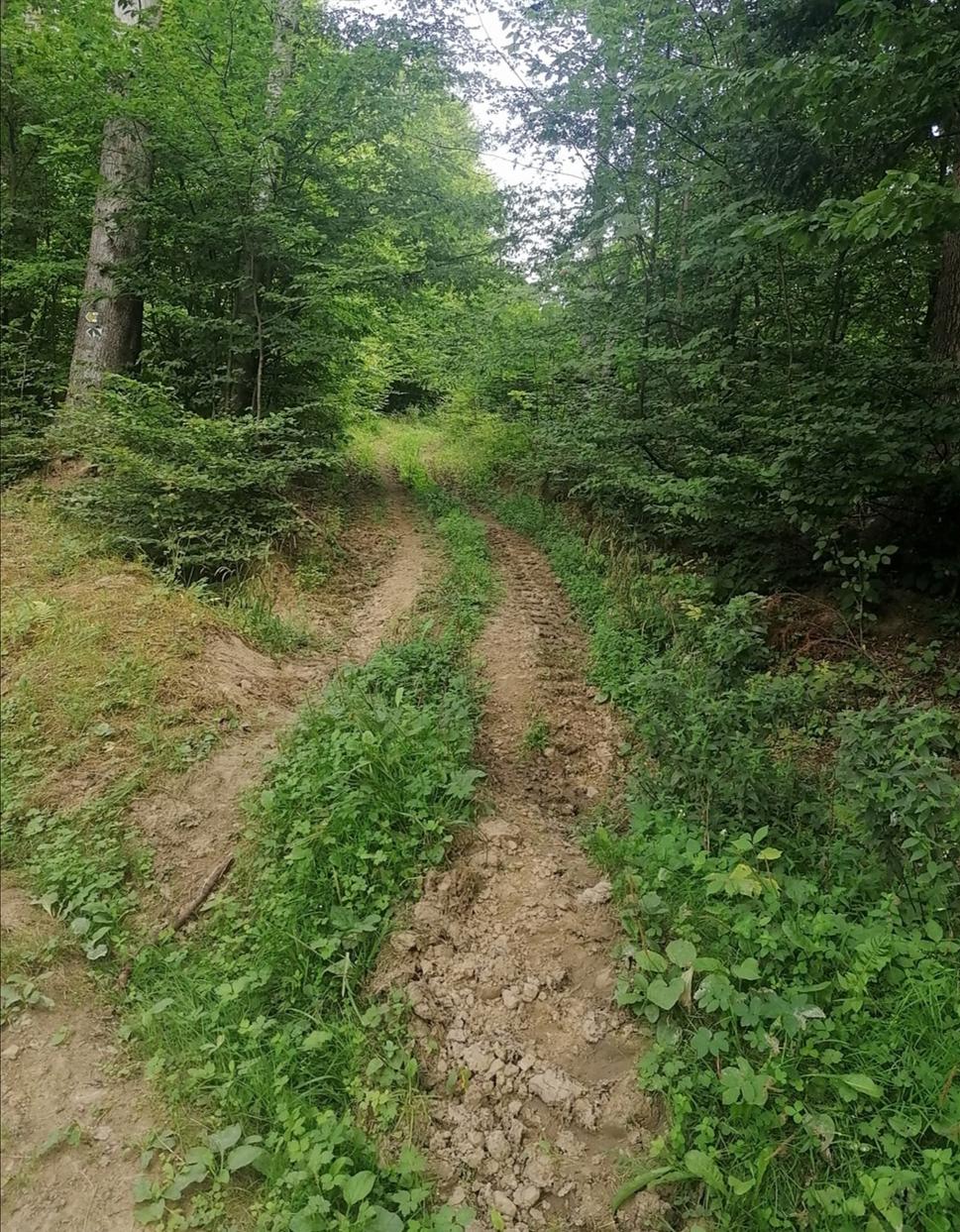 to nikdy neskončí?