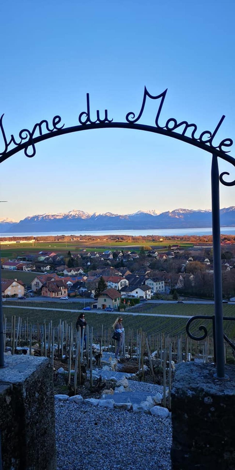 Vigne du Monde