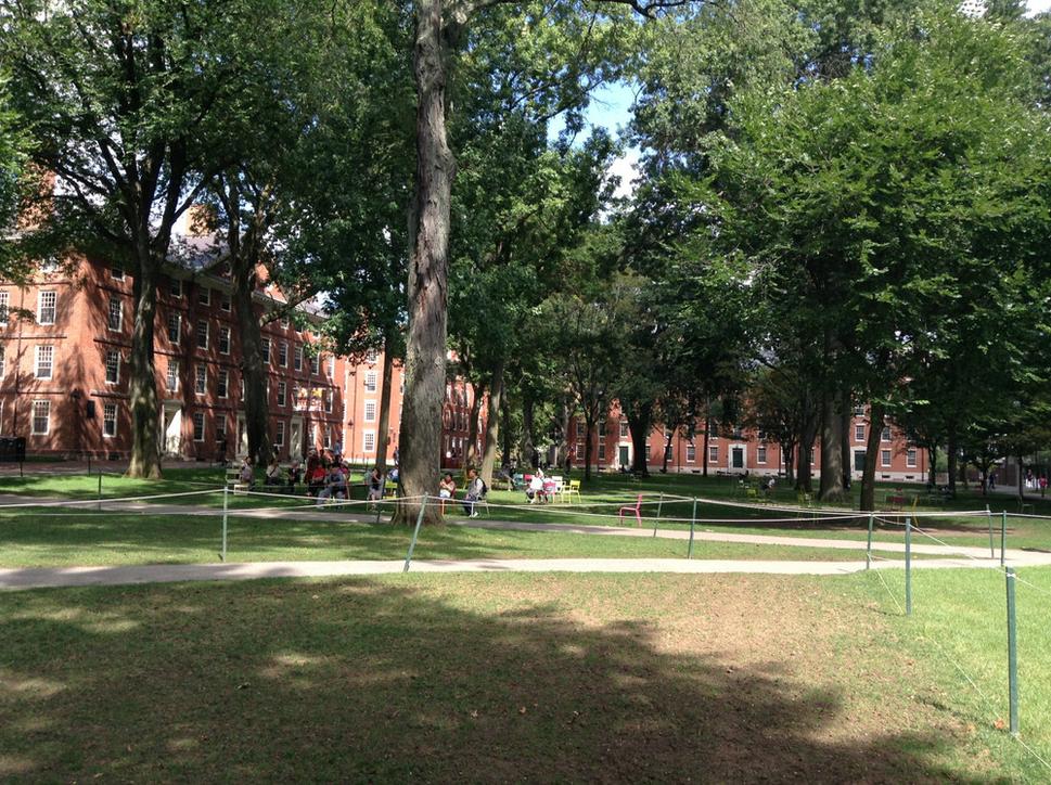 Harvard Yard