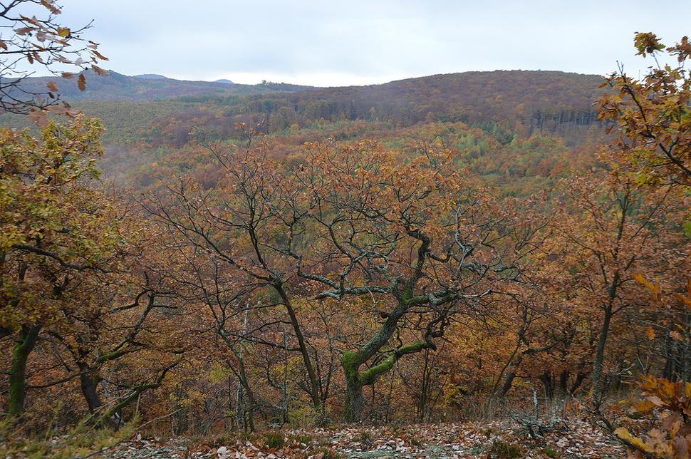 výhľad do údolia