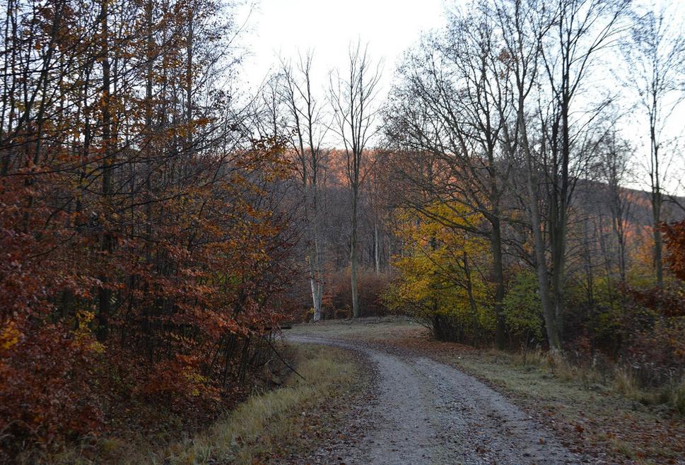 zvážnica