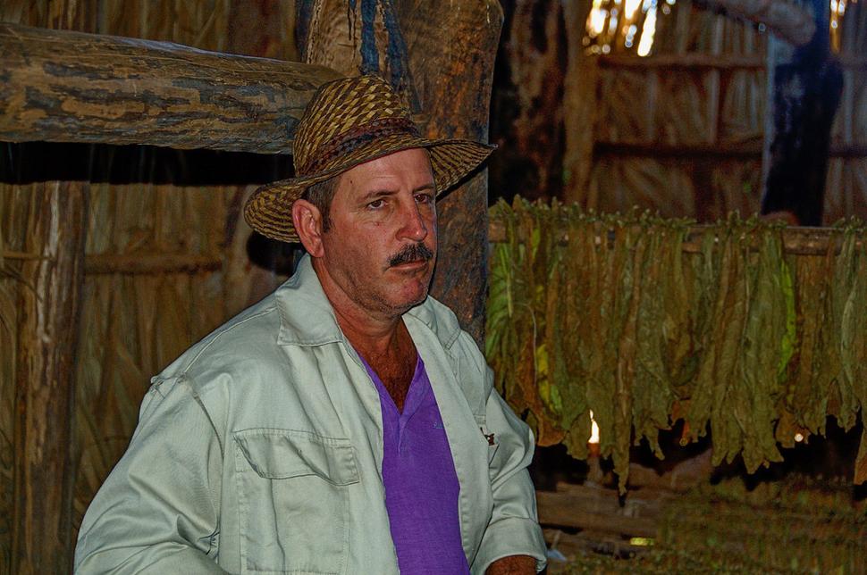Plantážnik, ktorého farmu sme navštívili, má zmluvu so štátom a tak 90 % úrody tabaku musí predať štátu. Zo zvyšných 10% môže vyrobiť cigary pre svoju potrebu a predať turistom, ktorí jeho plantáž navštevujú.