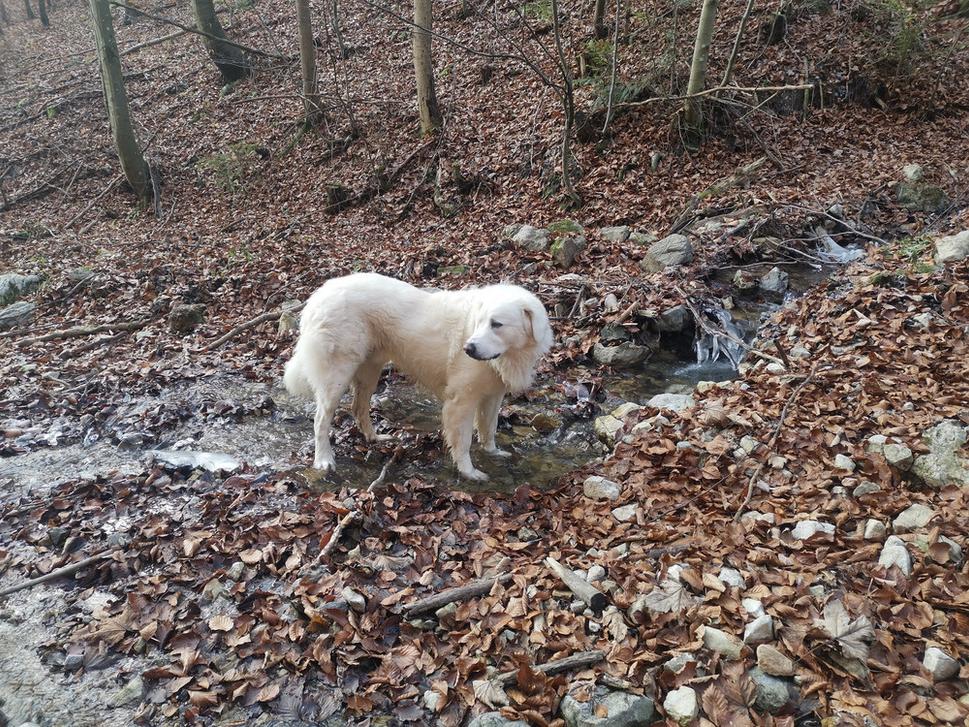 Dunčo :-)