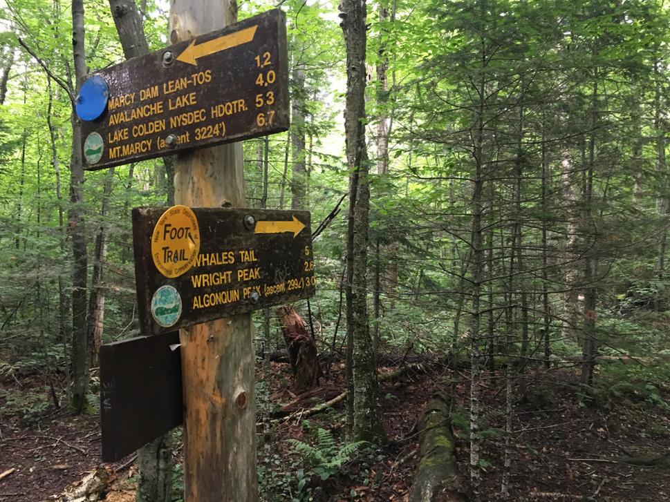 Turistické chodníky sú v Adirondackom pohorí vďaka dobrovoľníkom dobre označené.