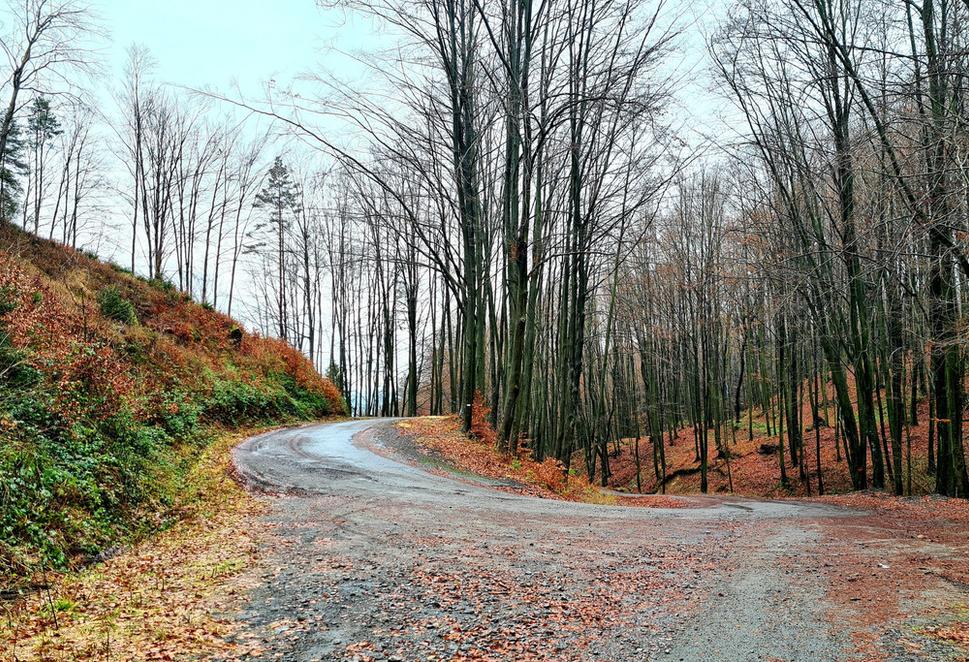 ...pred pár dňami to boli cesty posypané jesennou ´stokolórou´.