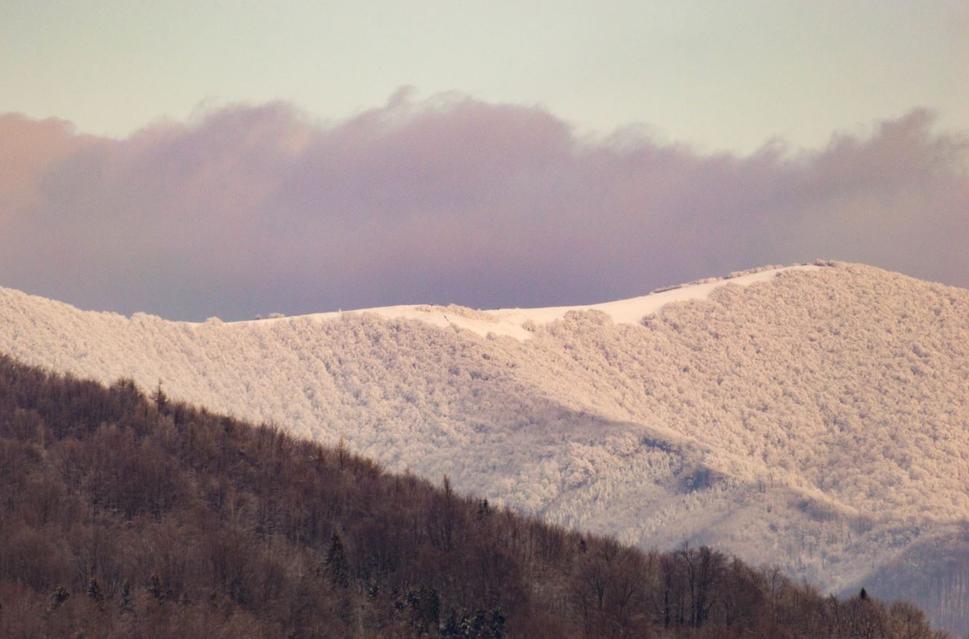 Výhľad na Ďurkovec. Jeho vrcholom prechádza slovensko-poľská štátna hranica.