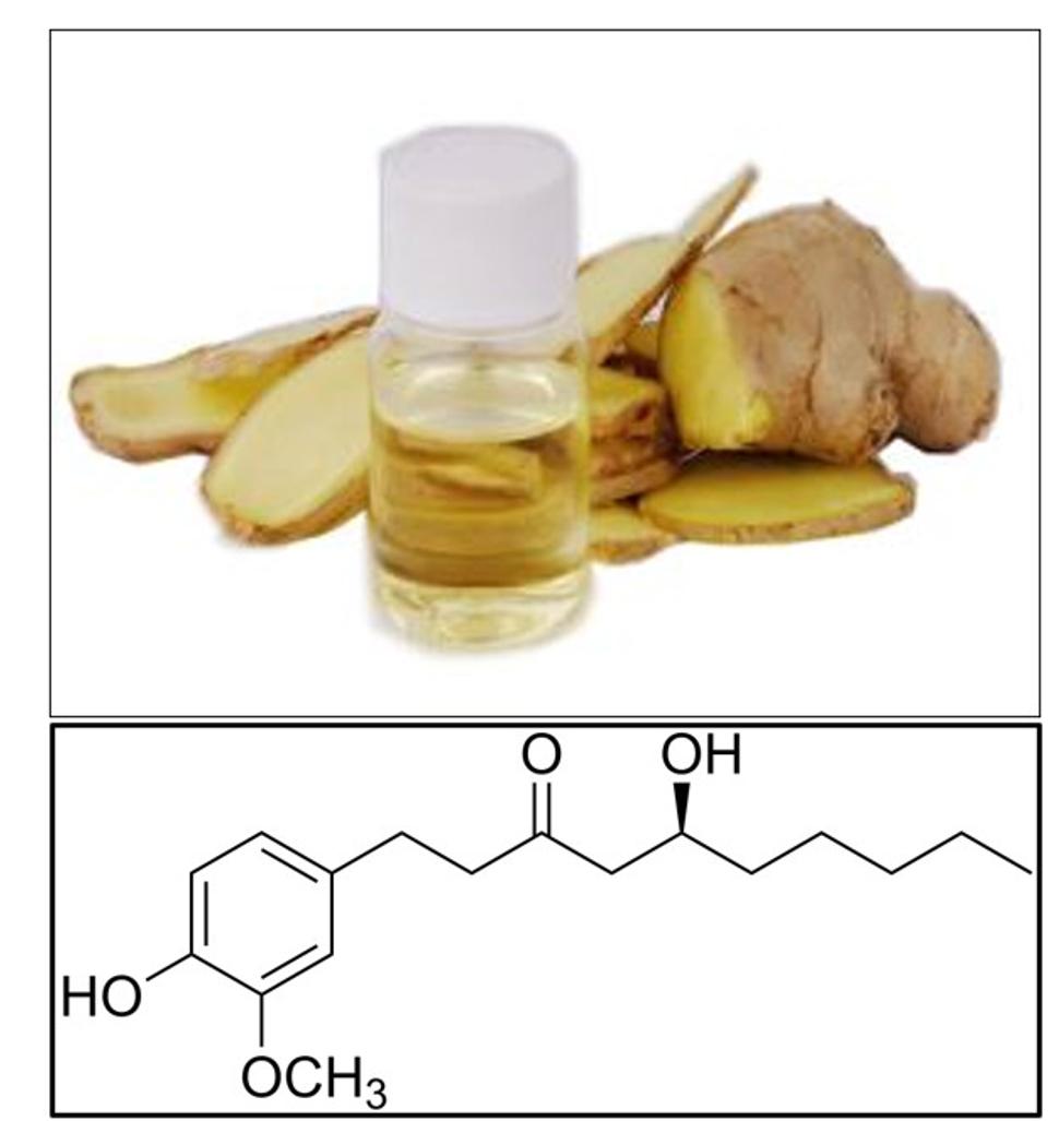 Obr. 2: Čistý extrakt 6-gingerolu a jeho chemický vzorec. Zdroje: http://sk.bjherbest.com/herb-extract/ginger-extract-6-gingerol.html https://cs.wikipedia.org/wiki/Gingerol#/media/Soubor:Gingerol.png