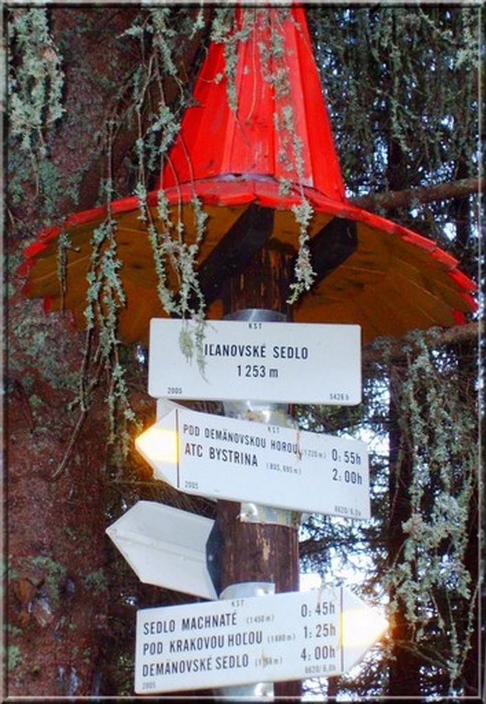 Toto bolo kedysi pri spoji zelenej a žltej značky v Iľanovskom sedle, teraz som to tam nevidel