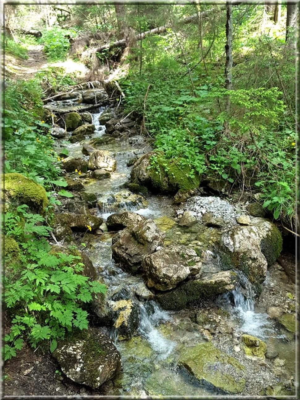 Obrázok blogu