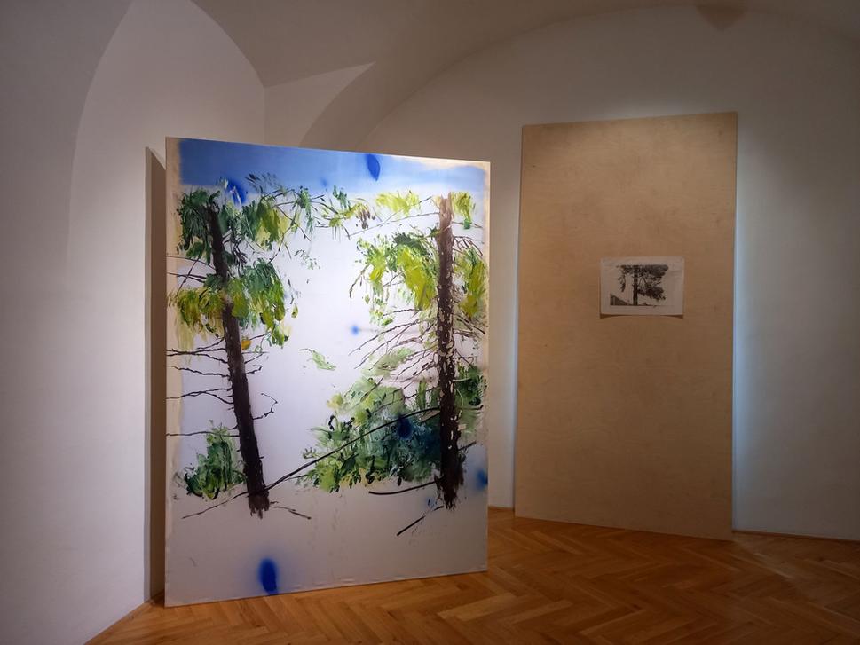 Pohľad do expozície