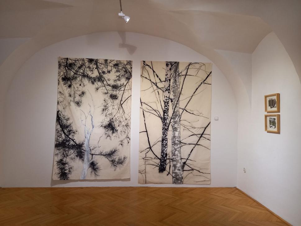 Pohľad do expozície