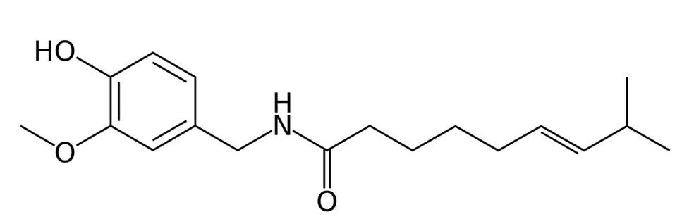 Obr. 2: Chemický vzorec kapsaicínu. Zdroj: https://cs.wikipedia.org/wiki/Kapsaicin#/media/Soubor:Kapsaicyna.svg