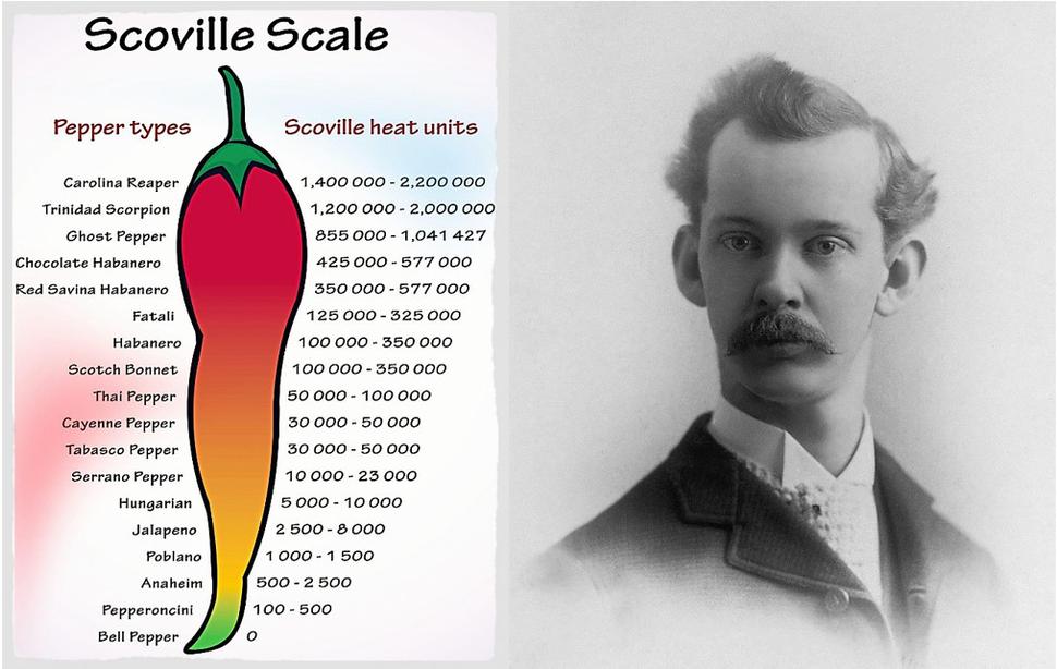 Obr. 5: Wilbur Lincoln Scoville (1865-1942) bol americký lekárnik, ktorý vytvoril stupnicu štipľavosti a doteraz sa nielen používa, ale aj nesie jeho meno ako Scovillova stupnica. Zdroje: https://www.forbes.com/sites/cognitiveworld/2018/09/05/a-scoville-heat-scale-for-measuring-cybersecurity/ https://en.wikipedia.org/wiki/Wilbur_Scoville