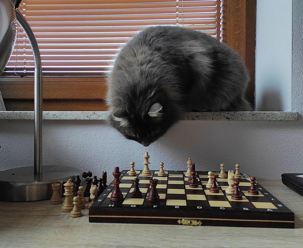 Okamih pred katastrofou.
