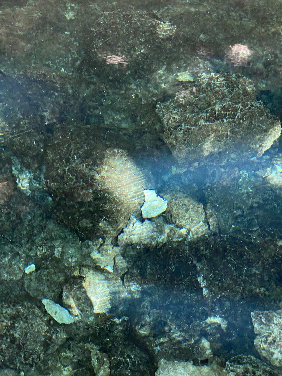 Cenote Dos Ojos.