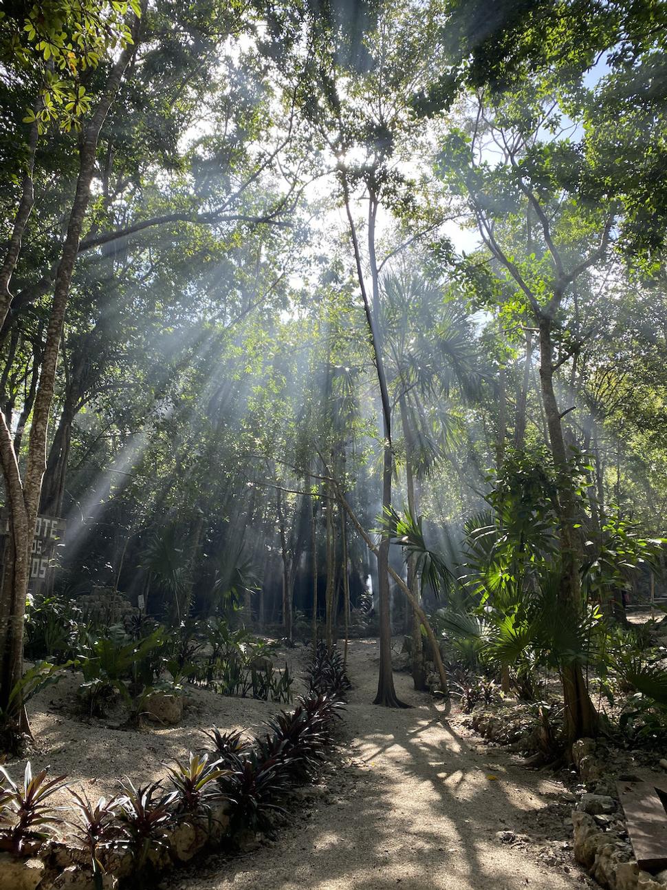 Cenote Dos Ojos.