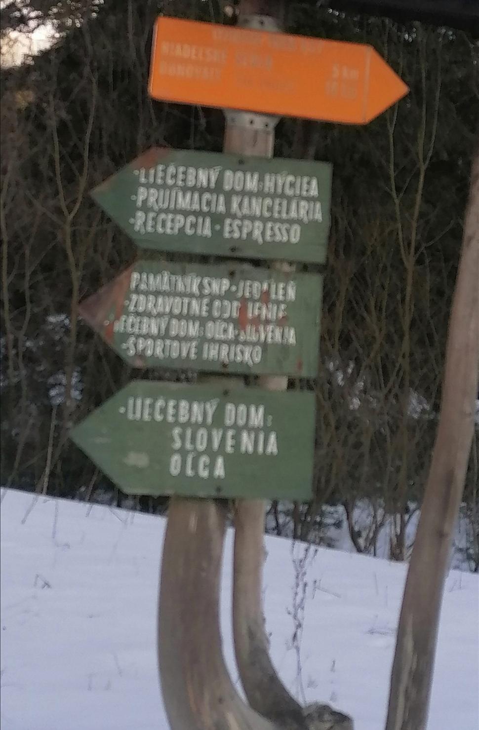 smerovník prežil