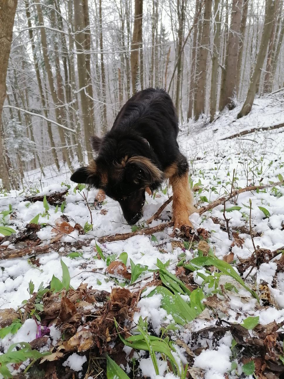 Obrázok blogu