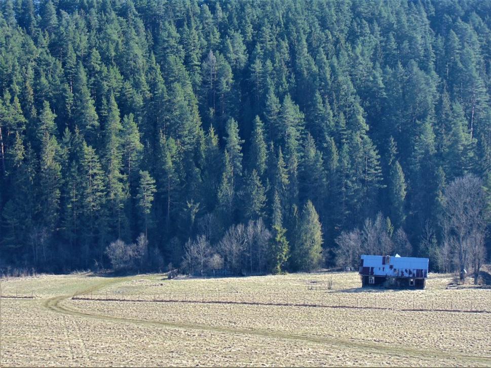 Domček na okraji lesa