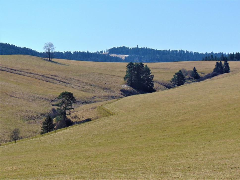 Préria za Magurou
