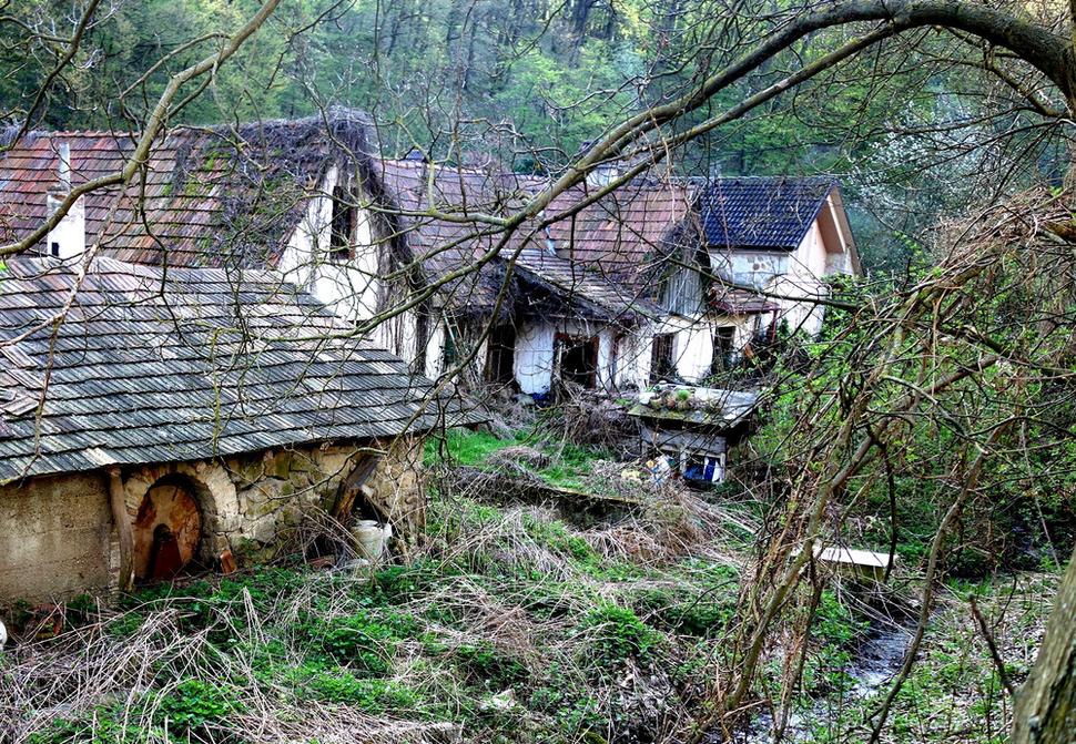 Obrázok blogu