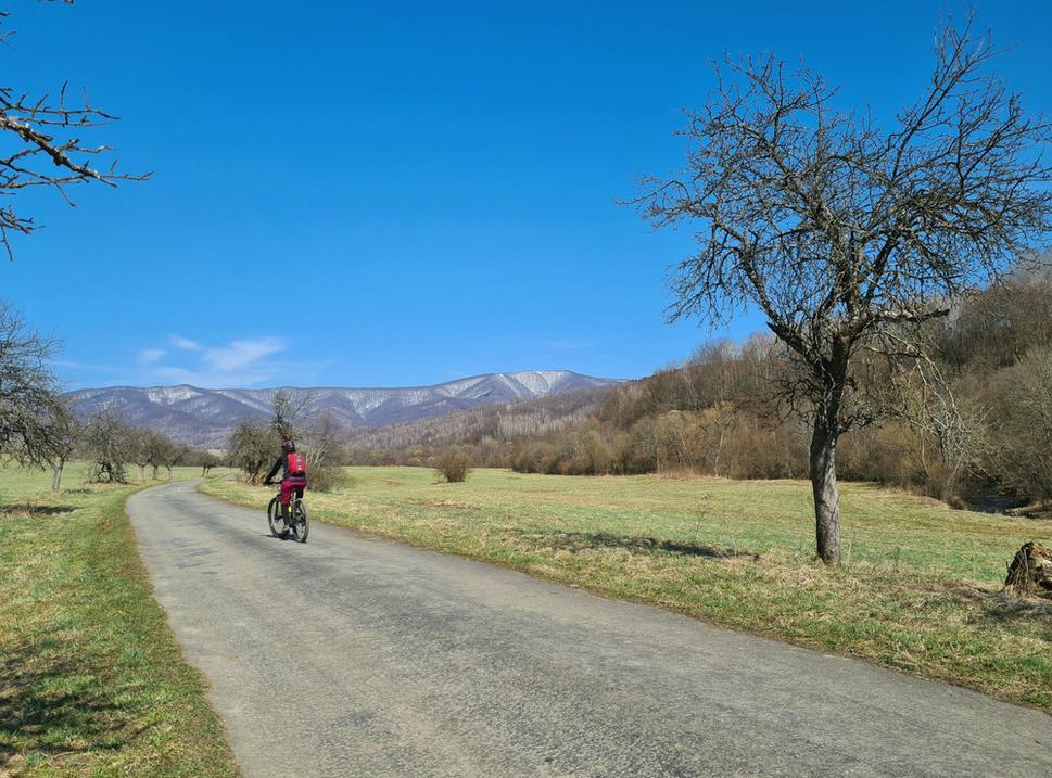 Na území Národného parku Poloniny sa môže bicyklami chodiť iba po vyznačených cyklotrasách. Všimli ste si aj vy na tomto obrázku jabloň, ktorej koruna má tvar srdca? Jablká z týchto jabloní sú obrovskou pochutinou pre zubríky.