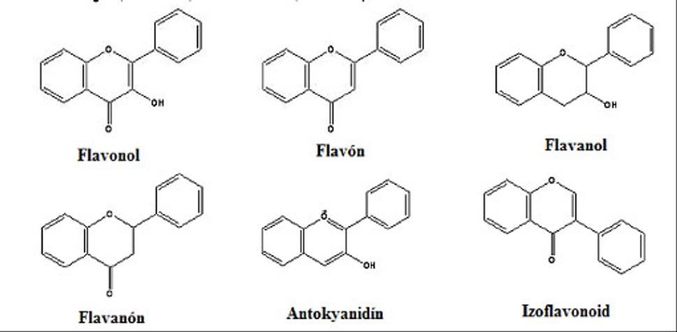 Obr. 8: Chemické vzorce niektorých bioflavonoidov. Zdroj: https://www.medaprex.sk/slovnik-pojmov/flavonoidy-a2111