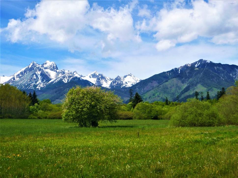 Belianske Lúky a Belianske Tatry