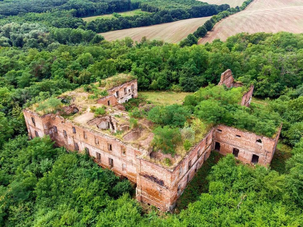 Za 30 rokov sa z kláštora, ktorý sa mohol stať skvostnou kultúrnou pamiatkou, stala rozvalina. Kedysi bol plný života, či už duchovného, alebo svetského, dnes jeho zvyšky smutne vytŕčajú spoza divého zeleného porastu.