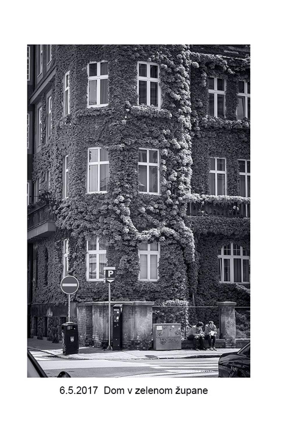 Obrázok blogu