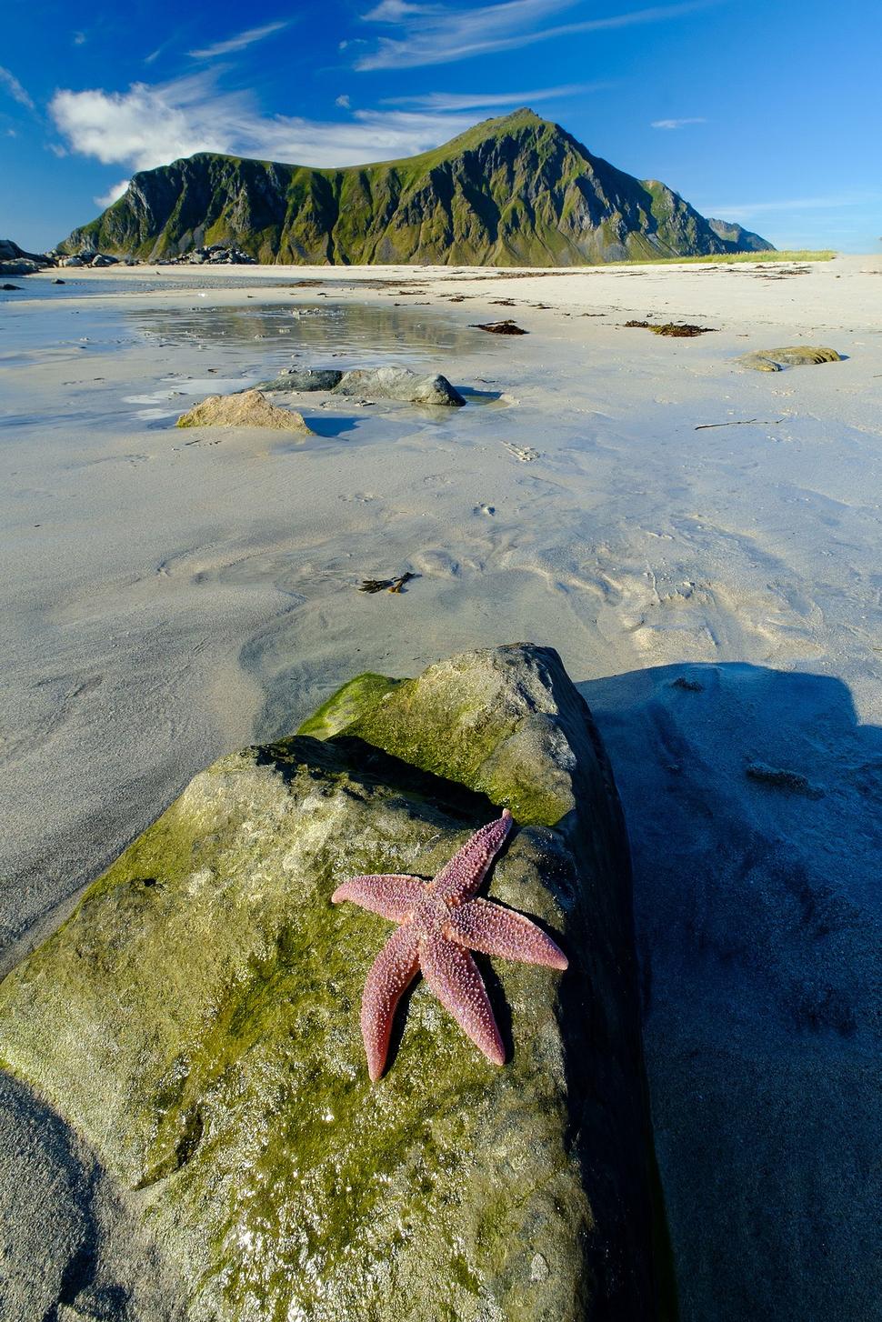 Pláž Skagsanden beach