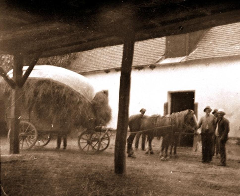 Obrázok blogu