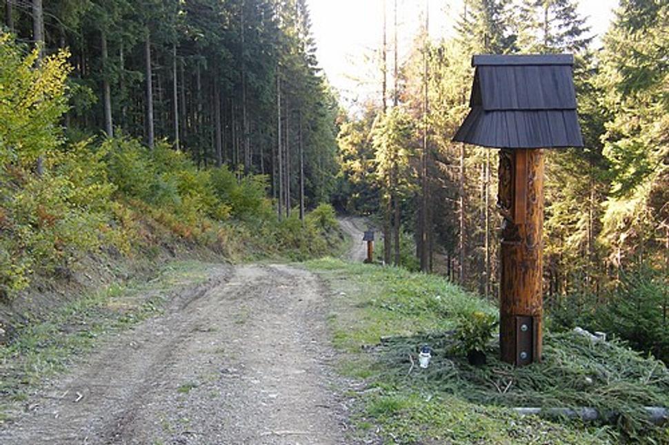 Obrázok blogu