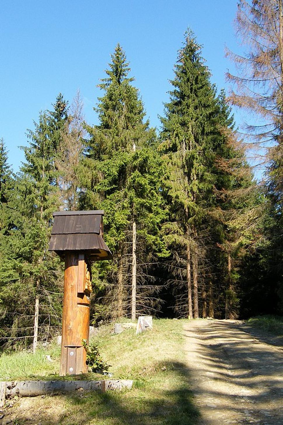 Obrázok blogu