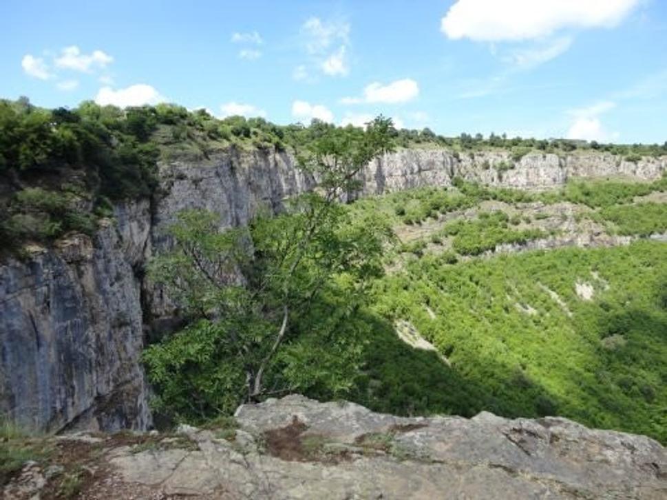 Obrázok blogu