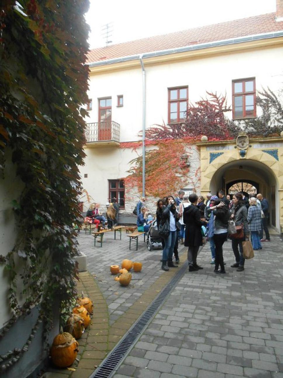 Obrázok blogu