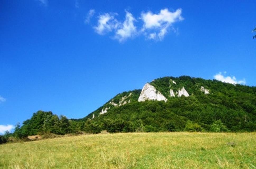 Obrázok blogu