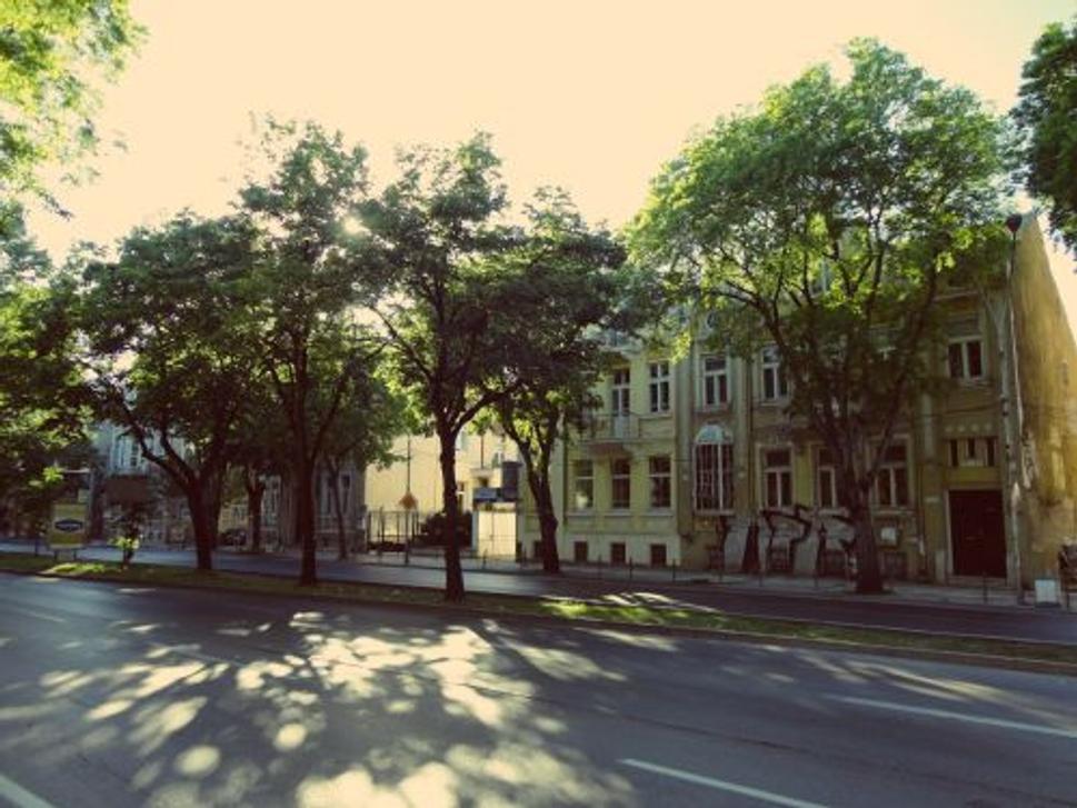Obrázok blogu