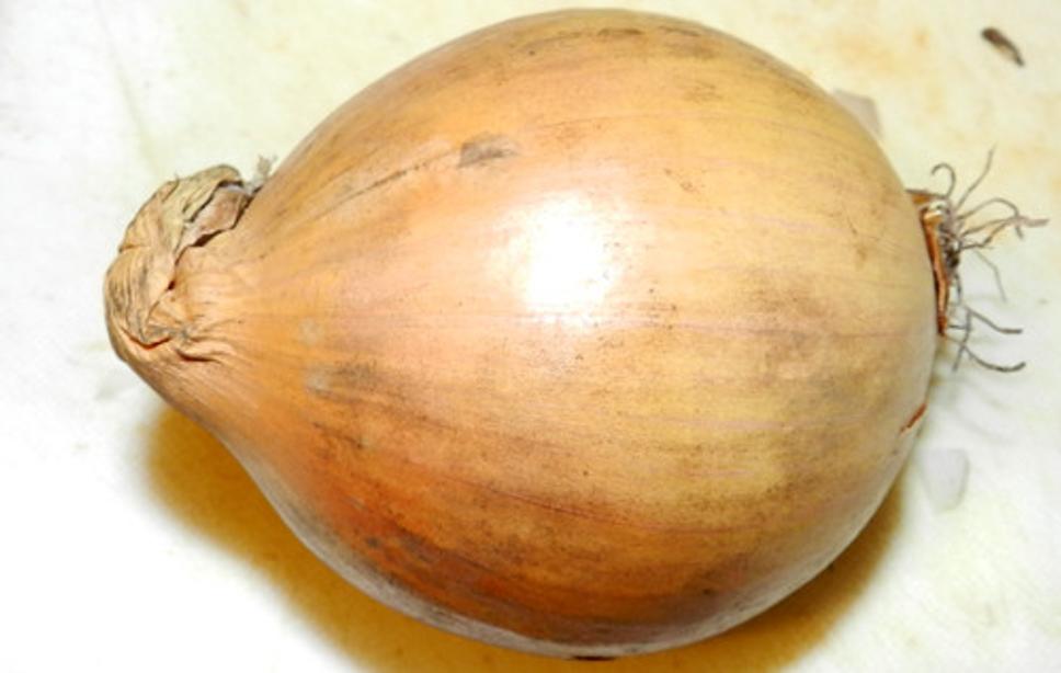 Obrázok blogu