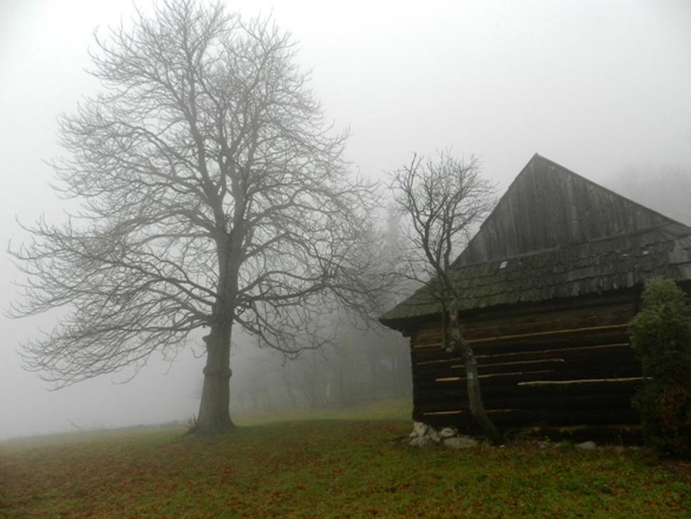 Obrázok blogu