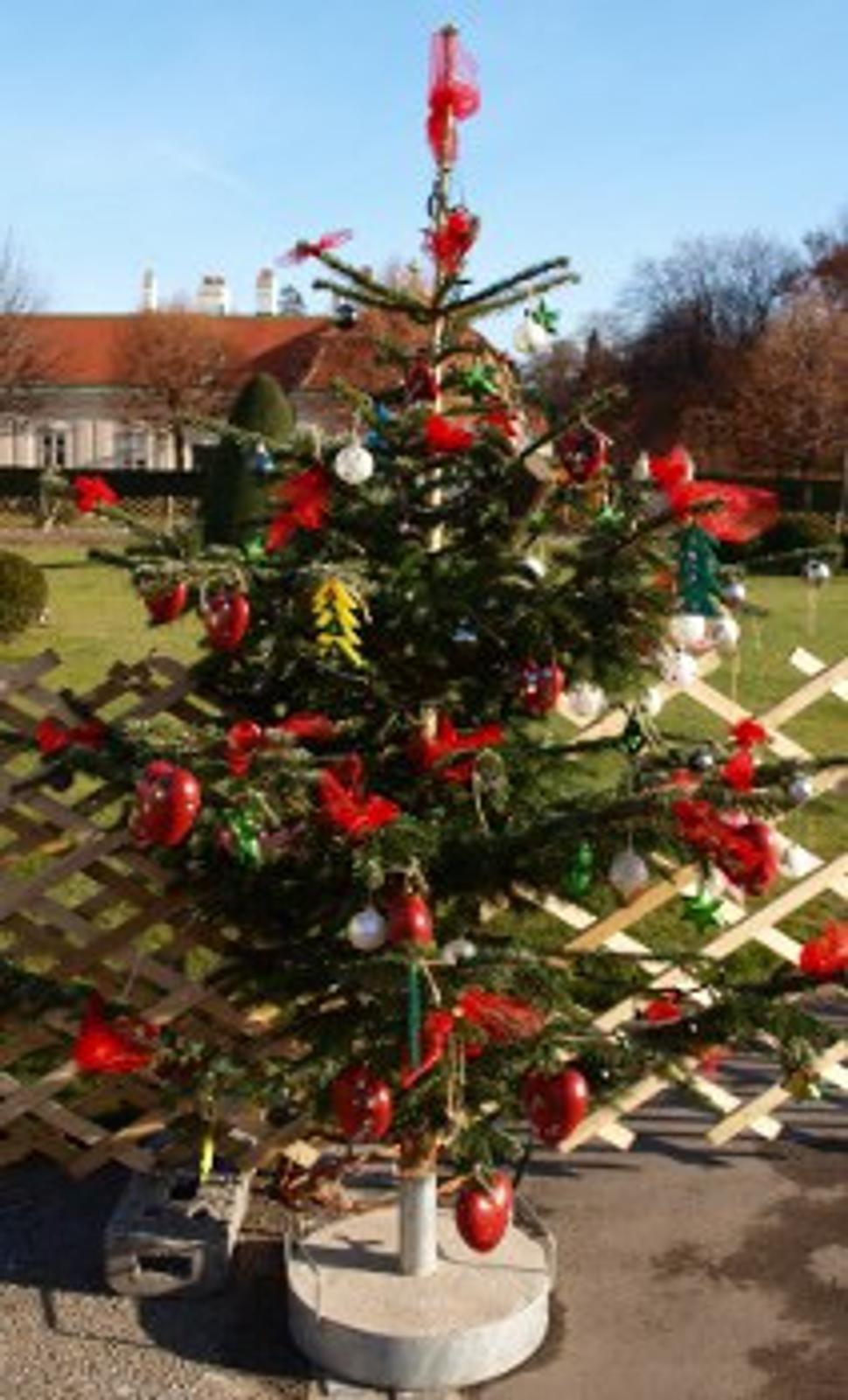 Obrázok blogu