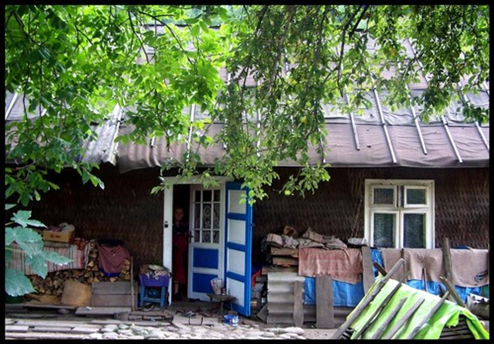 Obrázok blogu