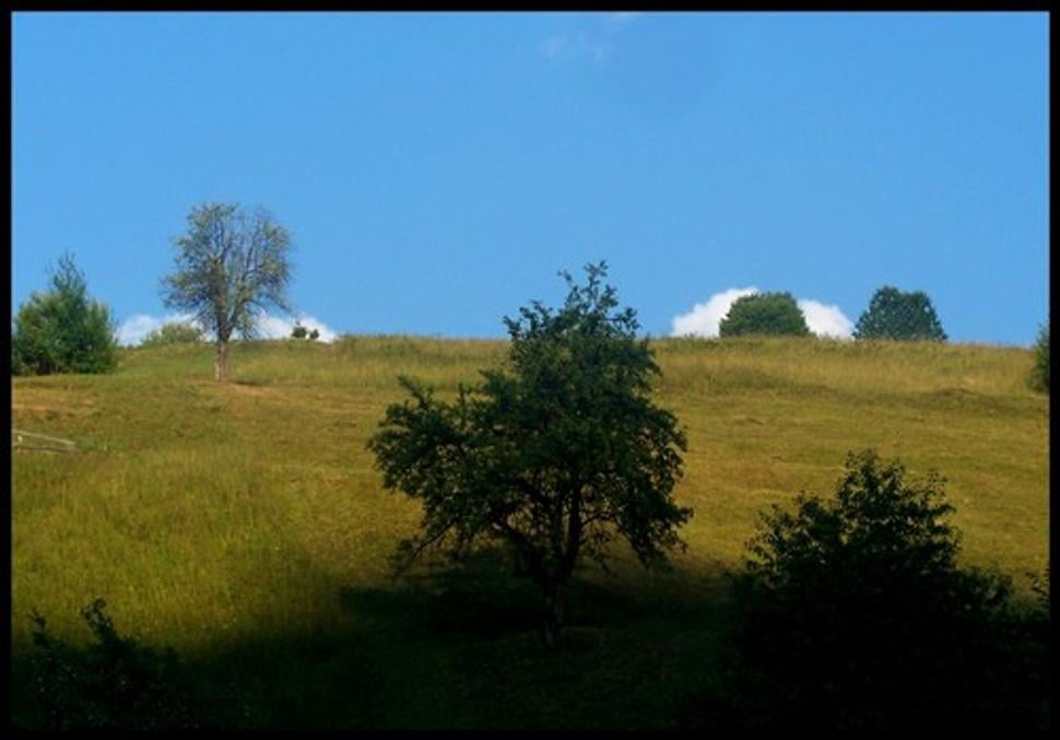 Obrázok blogu