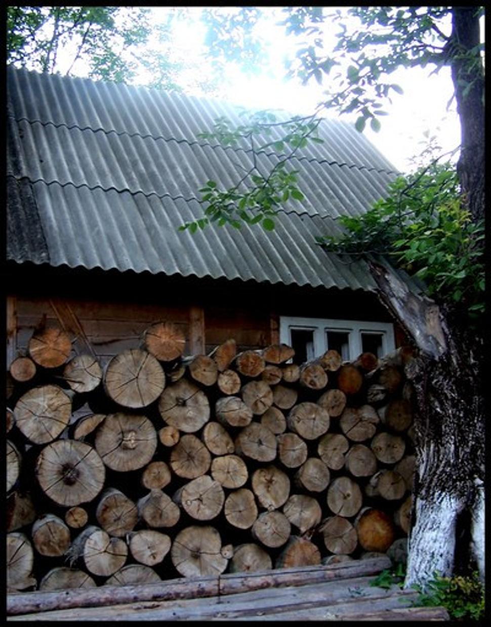 Obrázok blogu