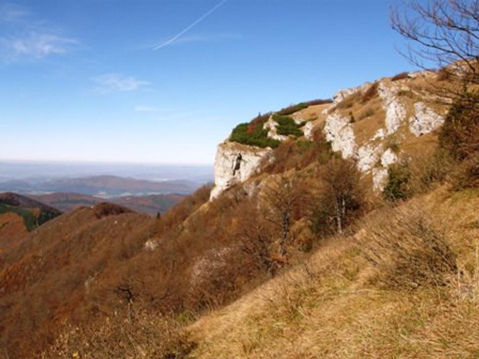 Obrázok blogu