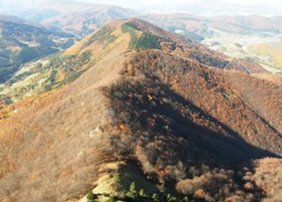 Obrázok blogu