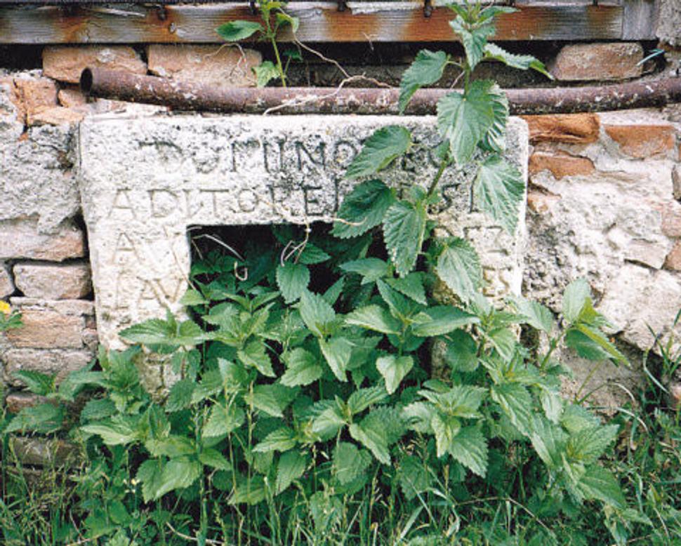 Obrázok blogu