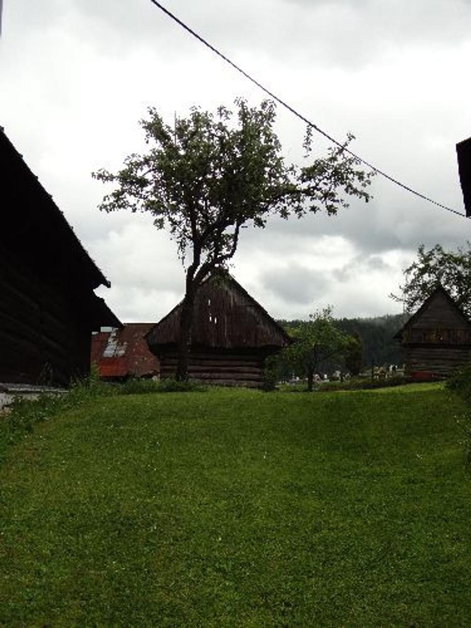 Obrázok blogu