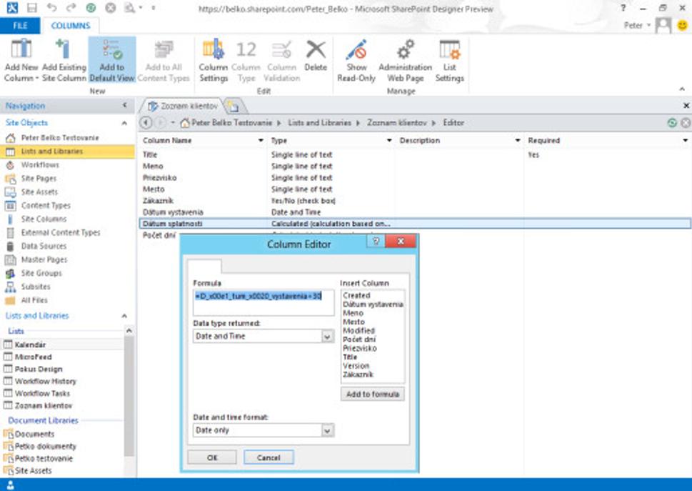 SharePoint Designer 2013 Preview - úprava zoznamu